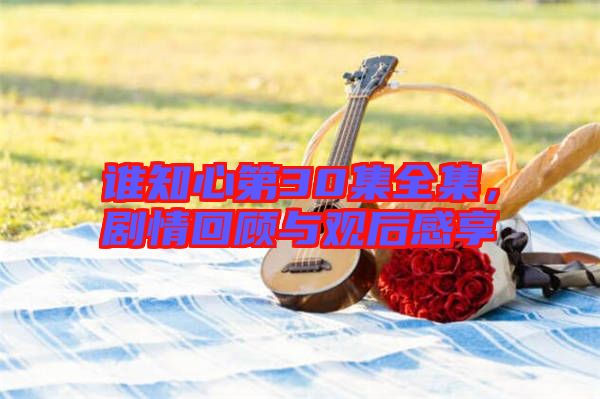 誰知心第30集全集，劇情回顧與觀后感享