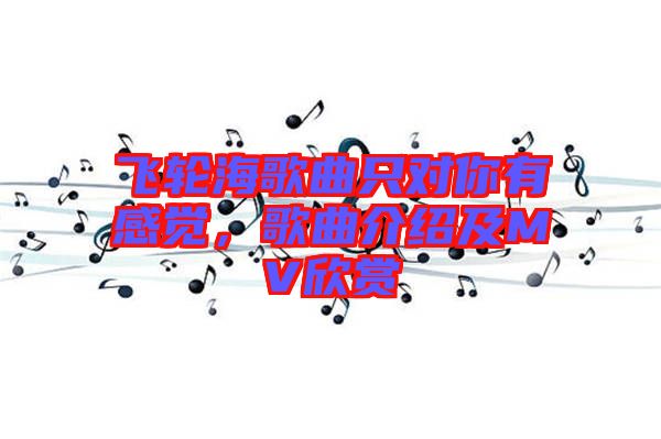 飛輪海歌曲只對你有感覺，歌曲介紹及MV欣賞