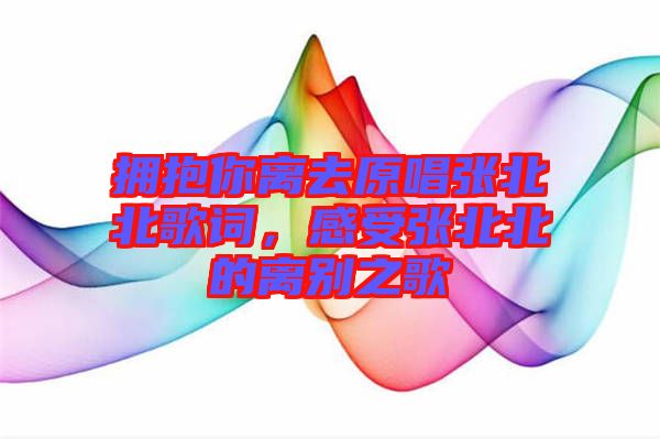 擁抱你離去原唱張北北歌詞，感受張北北的離別之歌