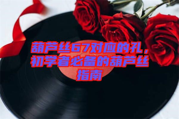 葫蘆絲67對應的孔，初學者必備的葫蘆絲指南
