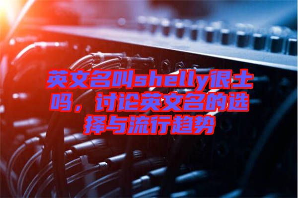 英文名叫shelly很土嗎，討論英文名的選擇與流行趨勢(shì)