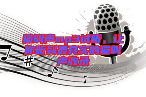 貓叫聲mp3試聽，讓你聽到最真實的貓叫聲收錄