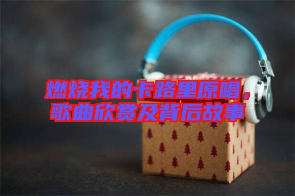 燃燒我的卡路里原唱，歌曲欣賞及背后故事