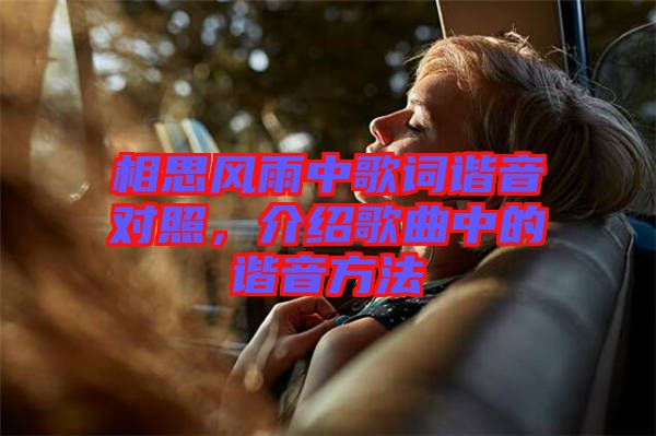 相思風雨中歌詞諧音對照，介紹歌曲中的諧音方法