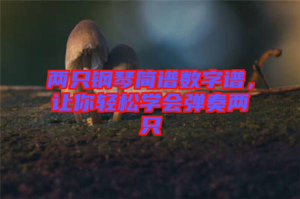 兩只鋼琴簡譜數(shù)字譜，讓你輕松學會彈奏兩只