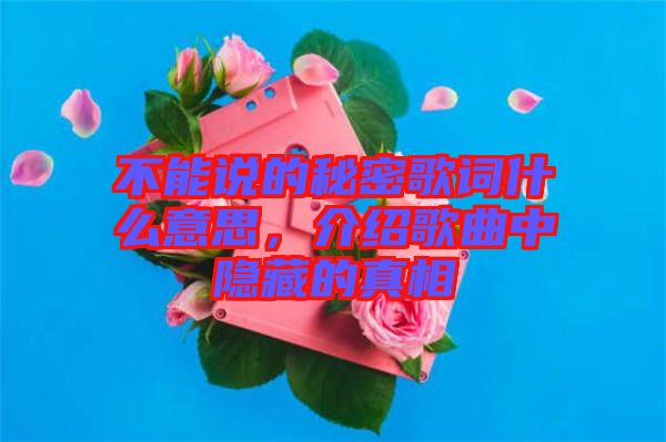 不能說(shuō)的秘密歌詞什么意思，介紹歌曲中隱藏的真相