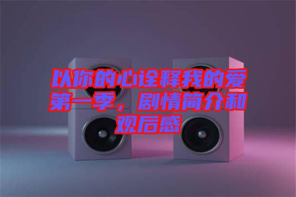 以你的心詮釋我的愛第一季，劇情簡介和觀后感