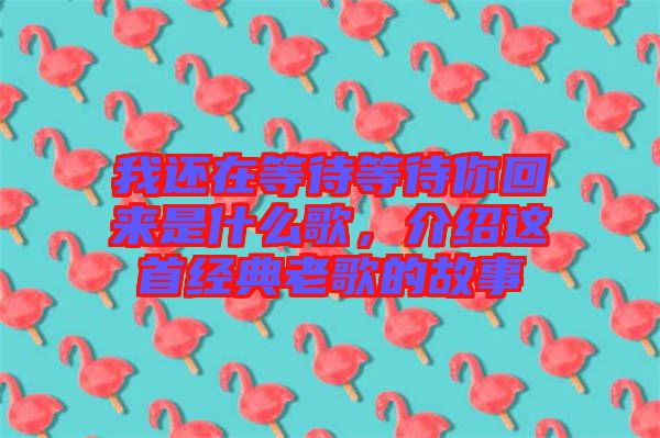 我還在等待等待你回來是什么歌，介紹這首經(jīng)典老歌的故事