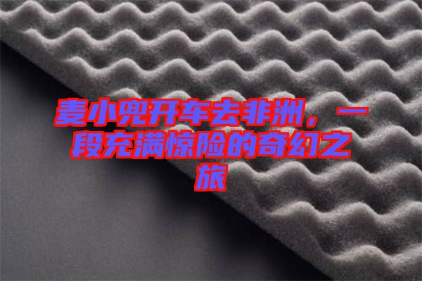 麥小兜開車去非洲，一段充滿驚險(xiǎn)的奇幻之旅
