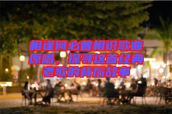 相逢何必曾相識(shí)歌曲原唱，探尋這首經(jīng)典老歌的背后故事