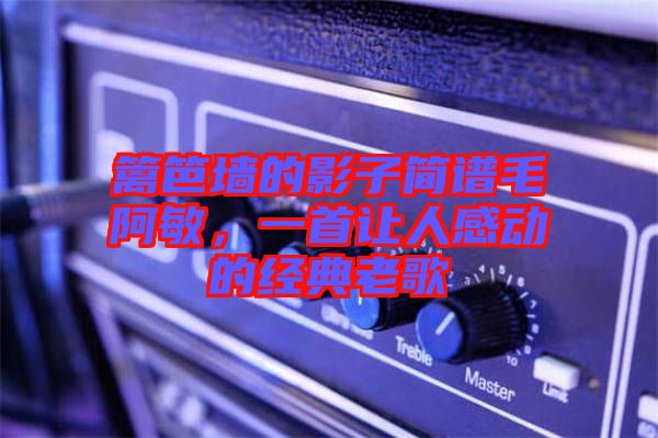 籬笆墻的影子簡譜毛阿敏，一首讓人感動的經典老歌