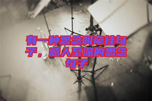 有一種思念叫牽掛句子，感人至深的思念句子