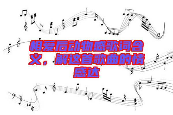 相愛后動物感歌詞含義，解這首歌曲的情感達