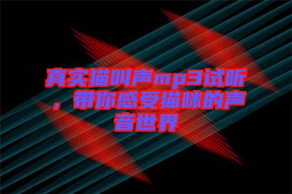 真實(shí)貓叫聲mp3試聽(tīng)，帶你感受貓咪的聲音世界
