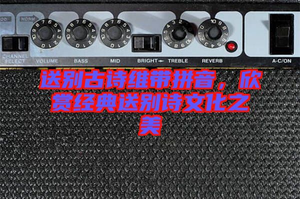 送別古詩維帶拼音，欣賞經典送別詩文化之美
