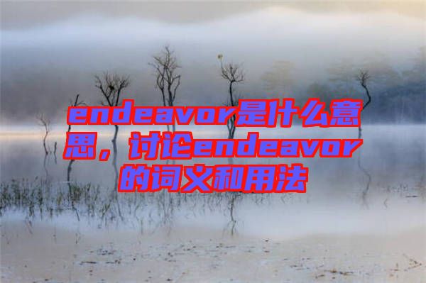 endeavor是什么意思，討論endeavor的詞義和用法