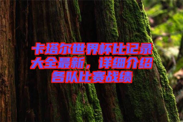 卡塔爾世界杯比記錄大全最新，詳細介紹各隊比賽戰績