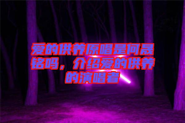 愛的供養原唱是何晟銘嗎，介紹愛的供養的演唱者