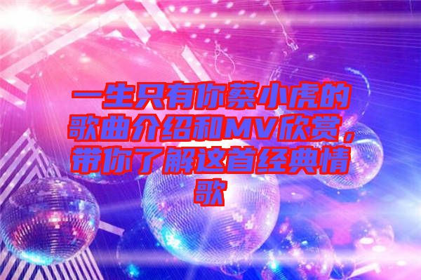 一生只有你蔡小虎的歌曲介紹和MV欣賞，帶你了解這首經典情歌