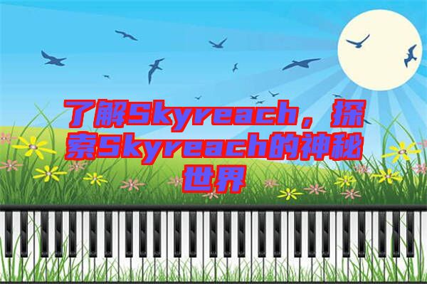 了解Skyreach，探索Skyreach的神秘世界