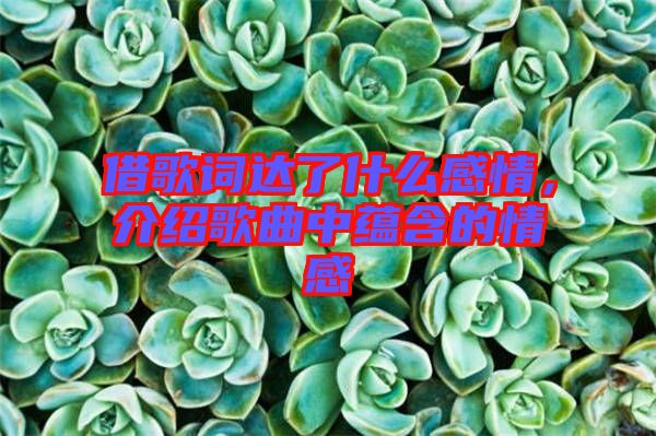 借歌詞達了什么感情，介紹歌曲中蘊含的情感