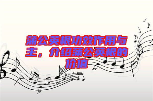 蒲公英根功效作用與主，介紹蒲公英根的價值