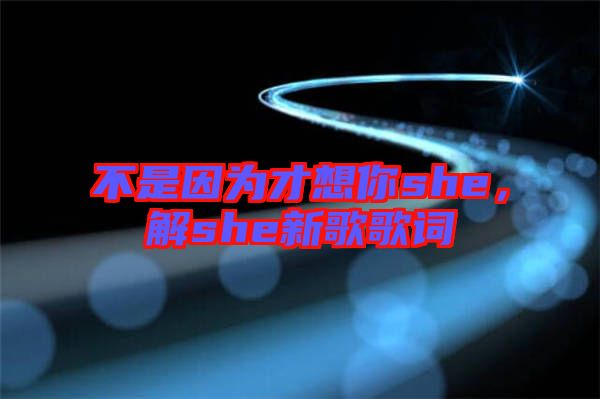 不是因為才想你she，解she新歌歌詞