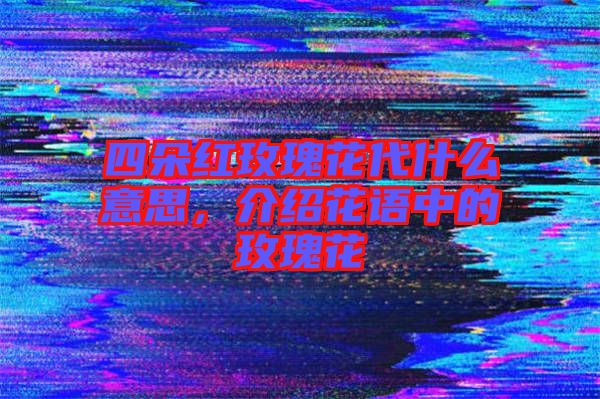 四朵紅玫瑰花代什么意思，介紹花語中的玫瑰花