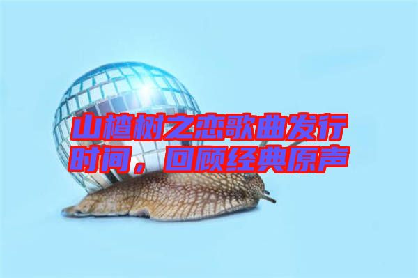 山楂樹之戀歌曲發行時間，回顧經典原聲