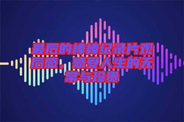 最后的棒棒紀錄片觀后感，感受人生的無常與珍貴
