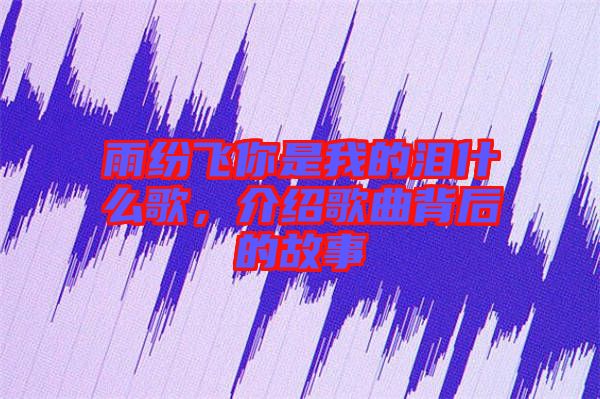 雨紛飛你是我的淚什么歌，介紹歌曲背后的故事