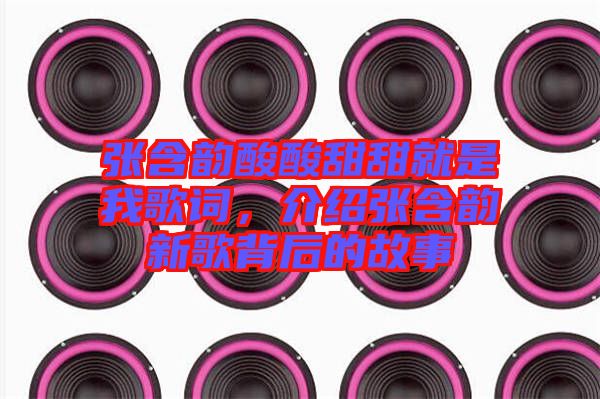 張含韻酸酸甜甜就是我歌詞，介紹張含韻新歌背后的故事