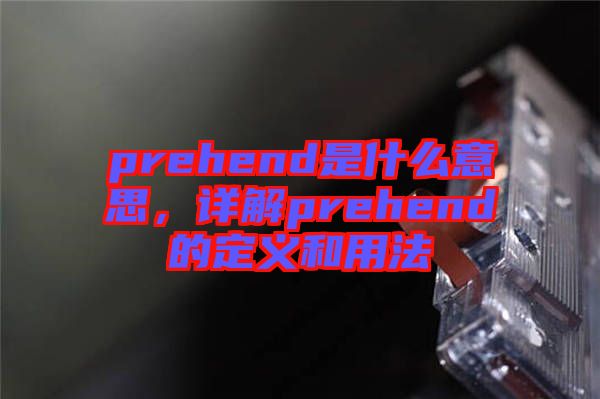 prehend是什么意思，詳解prehend的定義和用法