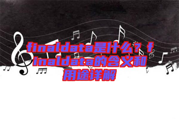 finaldata是什么？finaldata的含義和用途詳解