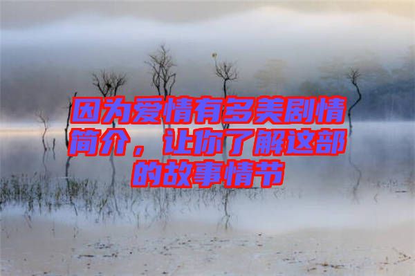 因為愛情有多美劇情簡介，讓你了解這部的故事情節