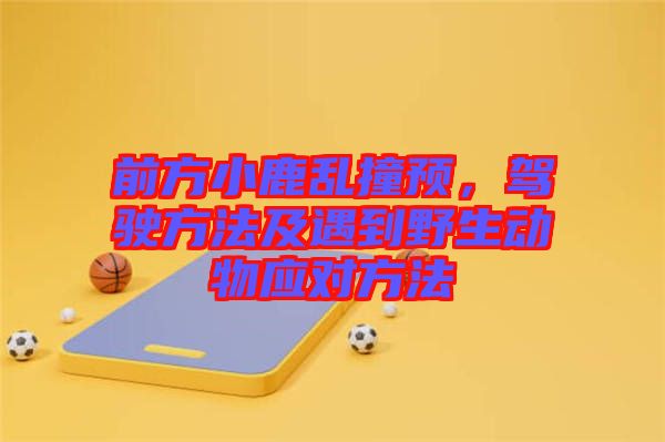 前方小鹿亂撞預，駕駛方法及遇到野生動物應對方法