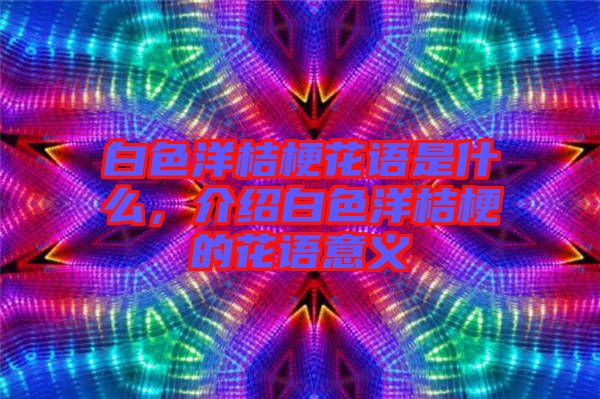 白色洋桔?；ㄕZ是什么，介紹白色洋桔梗的花語意義