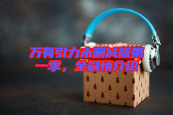 萬(wàn)有引力未刪減版第一季，全劇情介紹