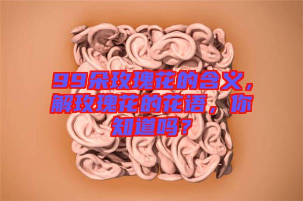 99朵玫瑰花的含義，解玫瑰花的花語，你知道嗎？