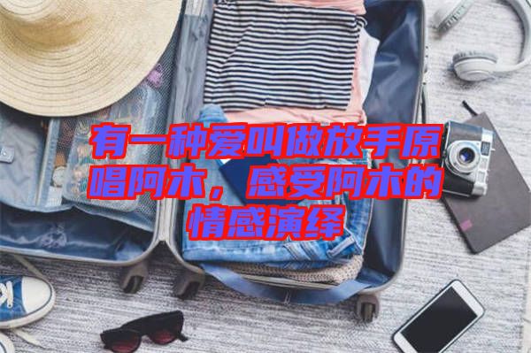 有一種愛叫做放手原唱阿木，感受阿木的情感演繹