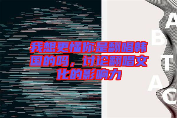 我想更懂你是翻唱韓國的嗎，討論翻唱文化的影響力