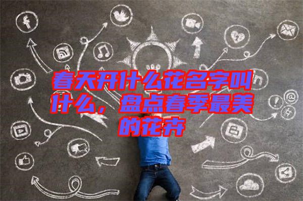 春天開什么花名字叫什么，盤點春季最美的花卉