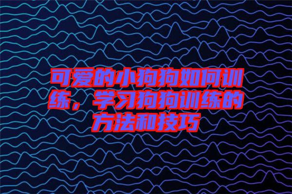 可愛的小狗狗如何訓練，學習狗狗訓練的方法和技巧