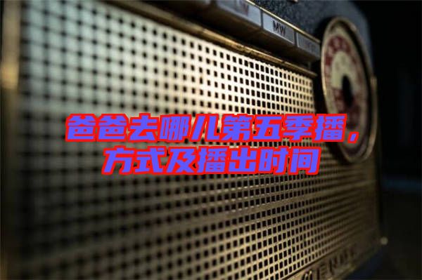 爸爸去哪兒第五季播，方式及播出時間
