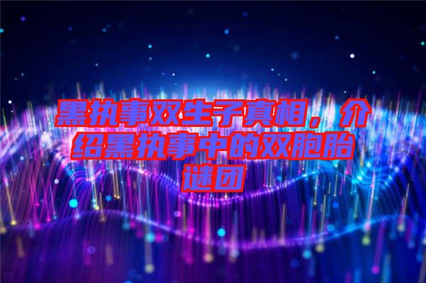 黑執事雙生子真相，介紹黑執事中的雙胞胎謎團