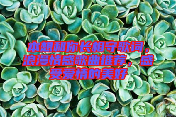 本想和你長相守歌詞，浪漫情感歌曲推薦，感受愛情的美好