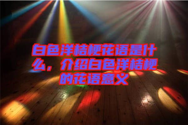 白色洋桔?；ㄕZ是什么，介紹白色洋桔梗的花語意義