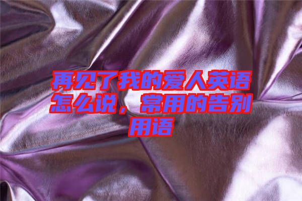 再見了我的愛人英語怎么說，常用的告別用語
