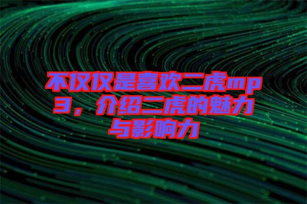 不僅僅是喜歡二虎mp3，介紹二虎的魅力與影響力