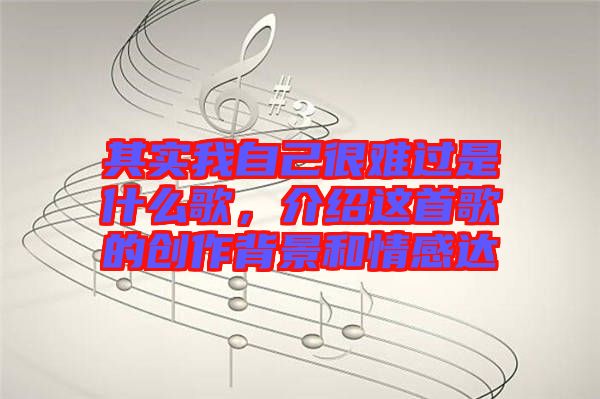 其實我自己很難過是什么歌，介紹這首歌的創作背景和情感達